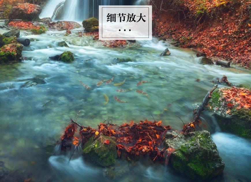绝对完美